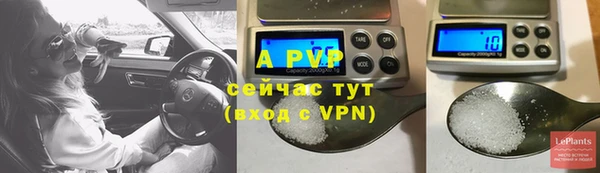 СК Нея