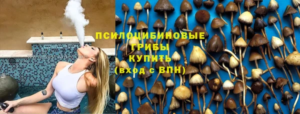МДПВ Надым