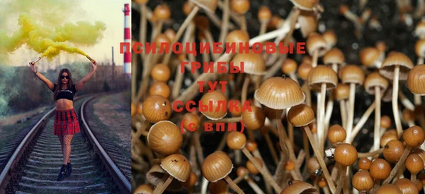 mdpv Нефтекумск